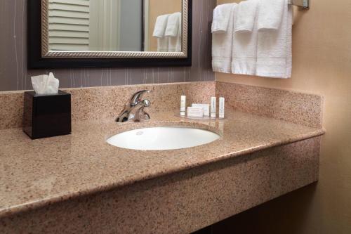 Imagen de la habitación del Hotel Courtyard By Marriott Atlanta Duluth/gwinnett Place. Foto 16