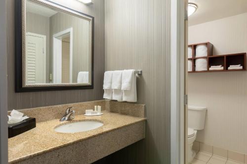 Imagen de la habitación del Hotel Courtyard By Marriott Atlanta Windy Hill/ballpark. Foto 14