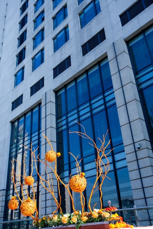 Imagen de los exteriores del Hotel Courtyard By Marriott Beijing Northeast. Foto 12
