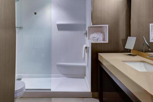 Imagen de la habitación del Hotel Courtyard By Marriott Carrollton. Foto 20