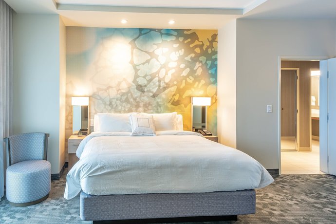 Imagen de la habitación del Hotel Courtyard By Marriott Charleston-north Charleston. Foto 12