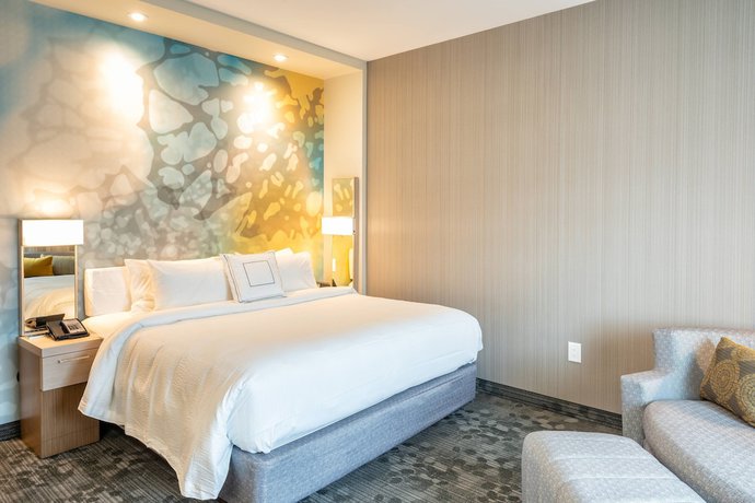 Imagen de la habitación del Hotel Courtyard By Marriott Charleston-north Charleston. Foto 15