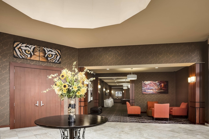 Imagen general del Hotel Courtyard By Marriott Columbia Missouri. Foto 1