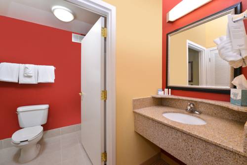 Imagen de la habitación del Hotel Courtyard By Marriott Columbia Northeast/fort Jackson Area. Foto 7