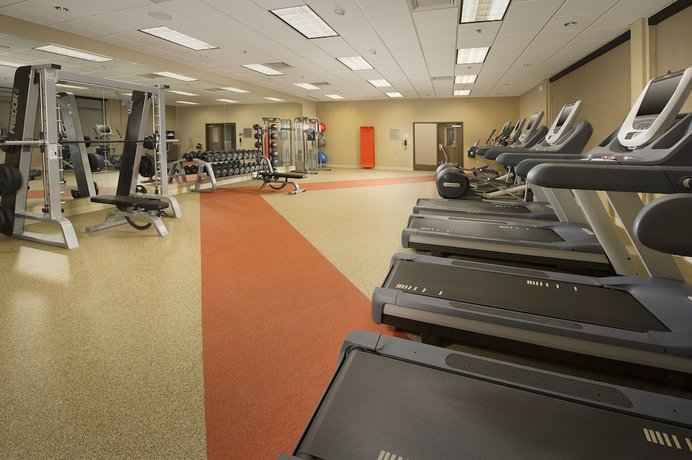 Imagen de los interiores del Hotel Courtyard By Marriott Dallas Dfw Airport North/grapevine. Foto 9