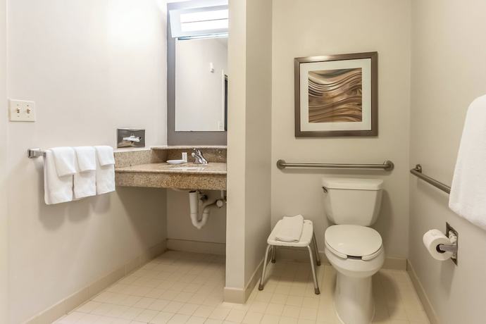 Imagen de la habitación del Hotel Courtyard By Marriott Dallas Dfw Airport South/irving. Foto 10