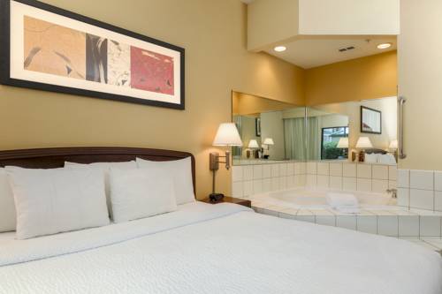 Imagen de la habitación del Hotel Courtyard By Marriott Dallas - Lewisville. Foto 5