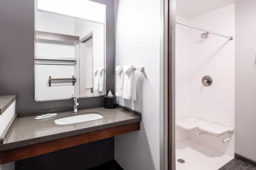 Imagen de la habitación del Hotel Courtyard By Marriott Denver Golden/red Rocks. Foto 11