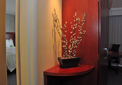 Imagen de la habitación del Hotel Courtyard By Marriott Kingston. Foto 6