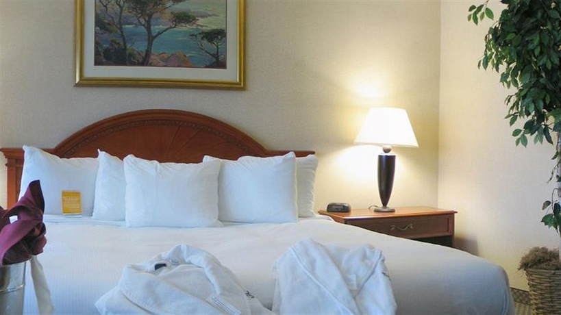 Imagen de la habitación del Hotel Courtyard By Marriott Los Angeles Woodland Hills. Foto 7