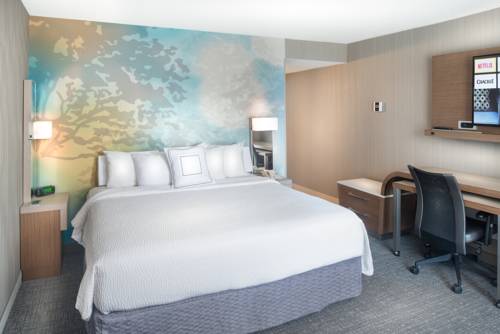 Imagen de la habitación del Hotel Courtyard By Marriott Lynchburg. Foto 10