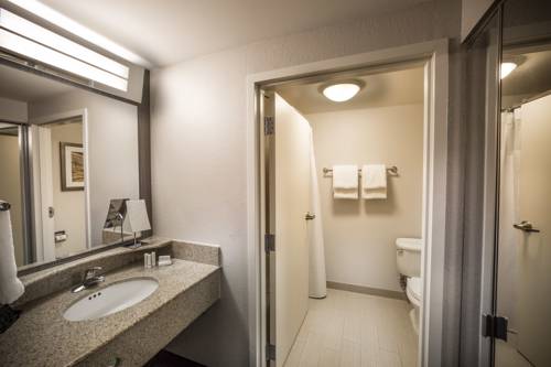 Imagen de la habitación del Hotel Courtyard By Marriott Norfolk Downtown. Foto 4