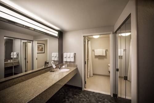 Imagen de la habitación del Hotel Courtyard By Marriott Norfolk Downtown. Foto 7