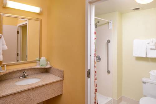 Imagen de la habitación del Hotel Courtyard By Marriott Rock Hill. Foto 9
