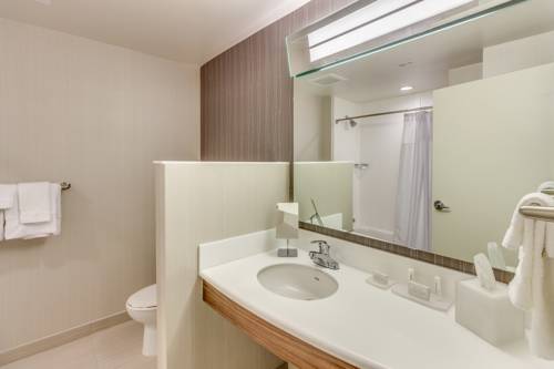Imagen general del Hotel Courtyard By Marriott St. Petersburg Clearwater/ma. Foto 1