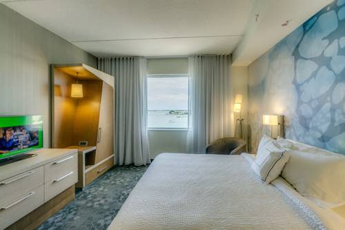 Imagen de la habitación del Hotel Courtyard By Marriott St. Petersburg Clearwater/ma. Foto 15