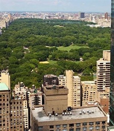 Imagen general del Hotel Courtyard Central Park Hotel. Foto 4