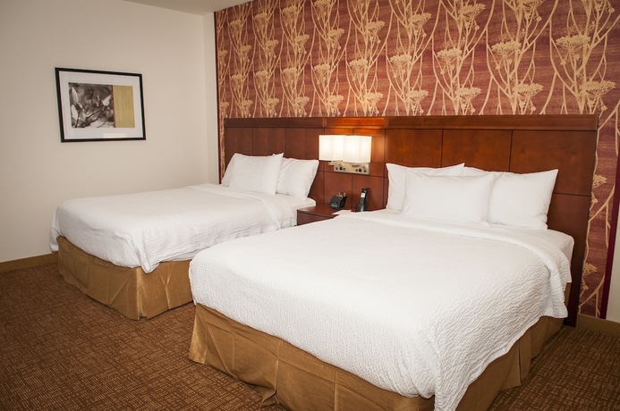 Imagen de la habitación del Hotel Courtyard Houston Kingwood. Foto 12