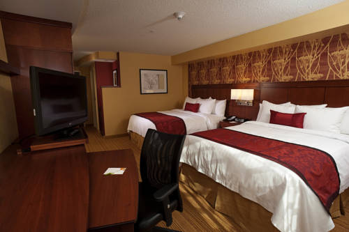 Imagen de la habitación del Hotel Courtyard Milwaukee Airport. Foto 7