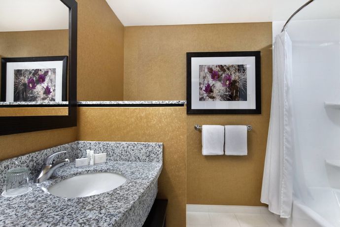 Imagen de la habitación del Hotel Courtyard Scottsdale Salt River. Foto 8