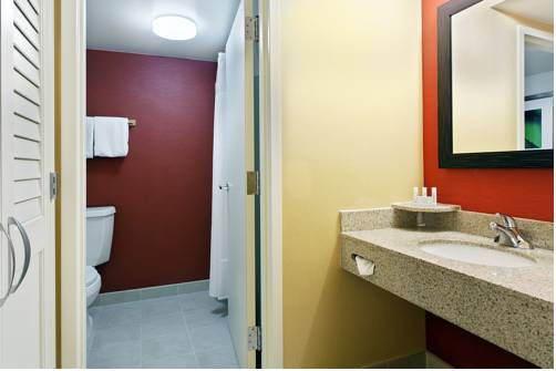 Imagen de la habitación del Hotel Courtyard Tampa North / I-75 Fletcher. Foto 7