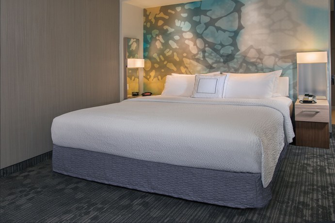 Imagen de la habitación del Hotel Courtyard by Marriott Albany Airport. Foto 16
