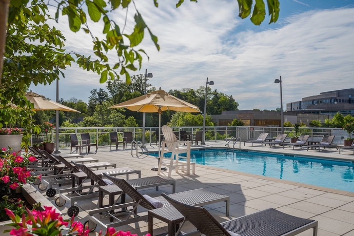 Imagen de la piscina del Hotel Courtyard by Marriott Bethesda Chevy Chase. Foto 19