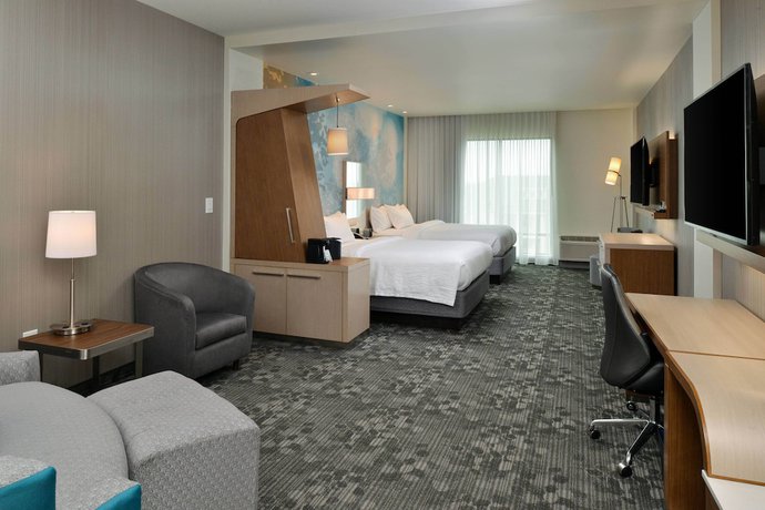 Imagen de la habitación del Hotel Courtyard by Marriott Charlotte Steele Creek. Foto 11