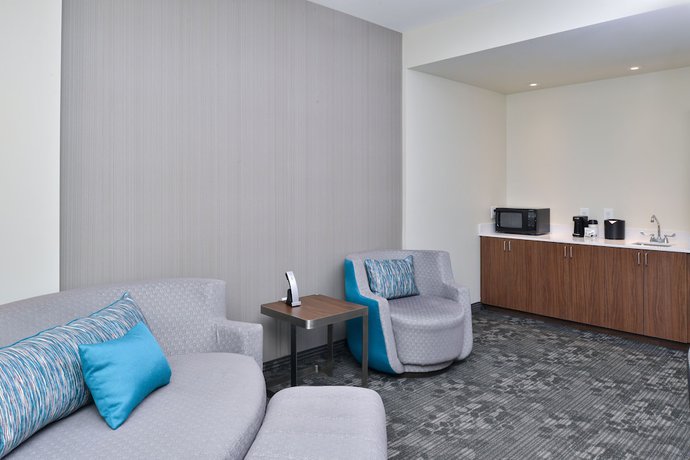 Imagen de la habitación del Hotel Courtyard by Marriott Charlotte Steele Creek. Foto 16