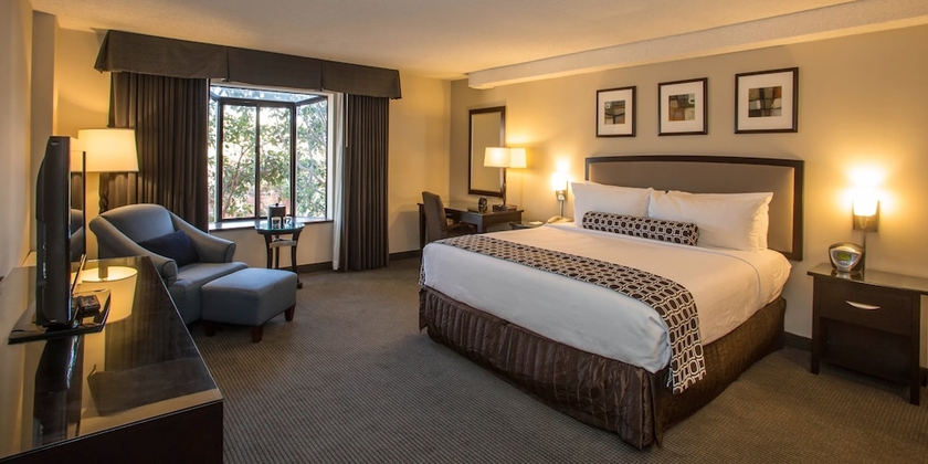 Imagen de la habitación del Hotel Courtyard by Marriott Concord Walnut Creek. Foto 13