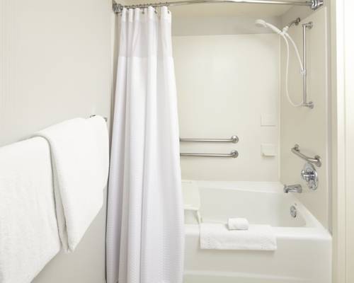 Imagen de la habitación del Hotel Courtyard by Marriott Detroit Brighton. Foto 6