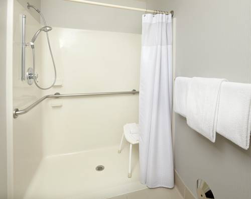 Imagen de la habitación del Hotel Courtyard by Marriott Detroit Brighton. Foto 7