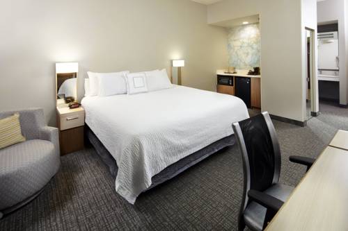 Imagen de la habitación del Hotel Courtyard by Marriott Detroit Brighton. Foto 8