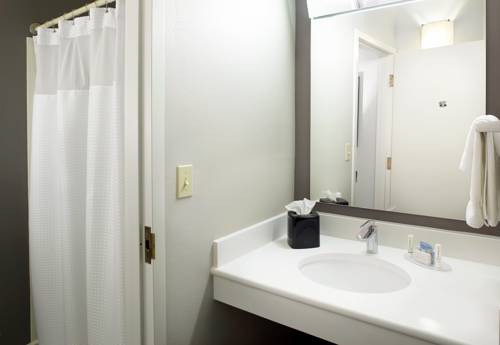 Imagen de la habitación del Hotel Courtyard by Marriott Detroit Brighton. Foto 9