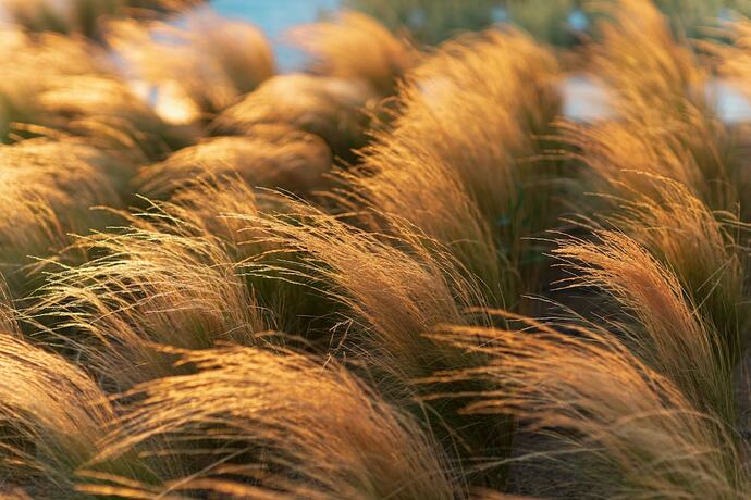 Imagen de la habitación del Hotel Cove Paros. Foto 17