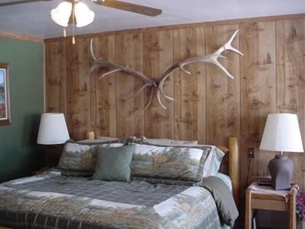 Imagen de la habitación del Hotel Cowboy Country Inn. Foto 9