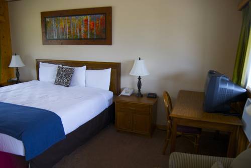 Imagen de la habitación del Hotel Coyote Mountain Lodge. Foto 6