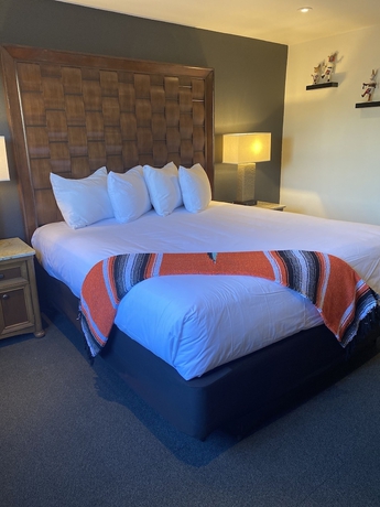 Imagen de la habitación del Hotel Coyote South. Foto 2