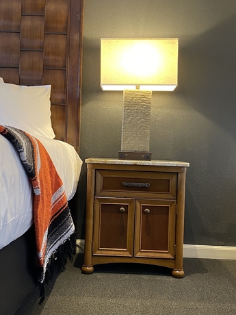 Imagen de la habitación del Hotel Coyote South. Foto 16