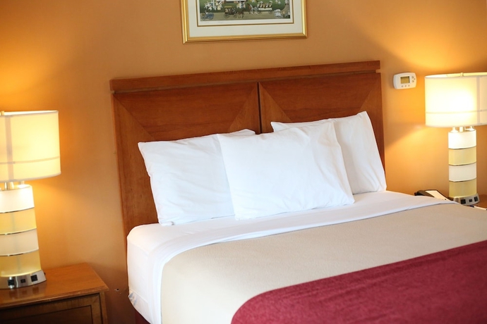 Imagen de la habitación del Hotel Cozy Corner Motel. Foto 11