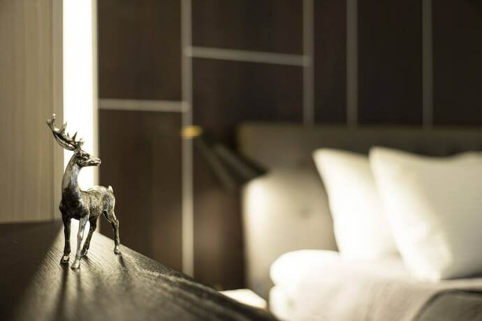 Imagen de la habitación del Hotel Cozy Inn. Foto 7