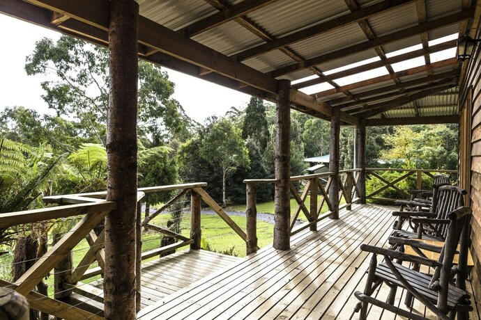 Imagen del bar/restaurante del Hotel Cradle Forest Inn. Foto 12