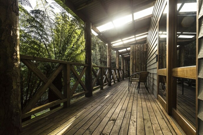 Imagen de la habitación del Hotel Cradle Forest Inn. Foto 19