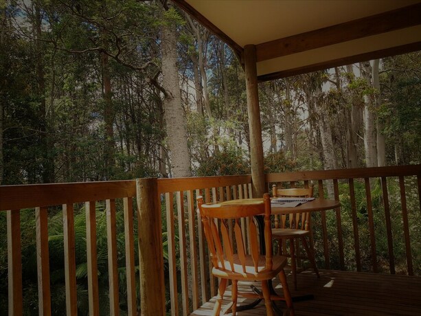 Imagen de la habitación del Hotel Cradle Forest Inn. Foto 27
