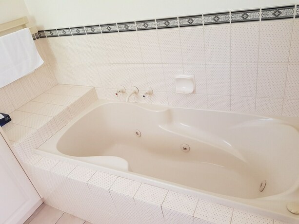 Imagen de la habitación del Hotel Cradle Forest Inn. Foto 28