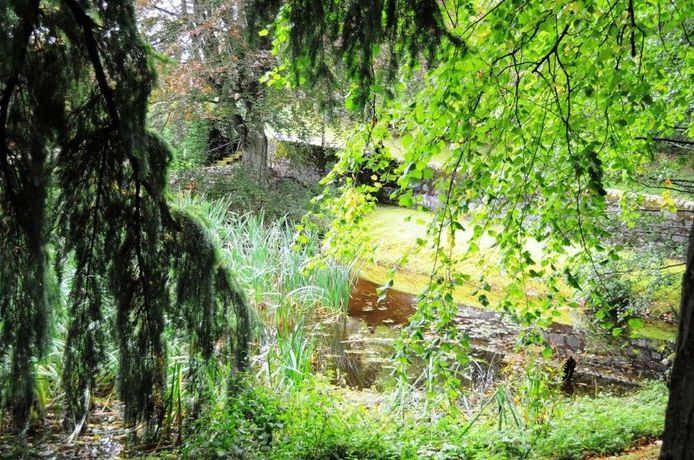 Imagen de los exteriores del Hotel Craigmhor Lodge And Courtyard. Foto 16