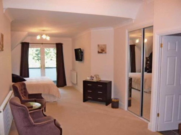 Imagen de la habitación del Hotel Craig-y-Dderwen Riverside. Foto 7