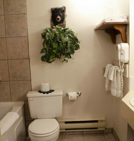 Imagen de la habitación del Hotel Crandell Mountain Lodge. Foto 12