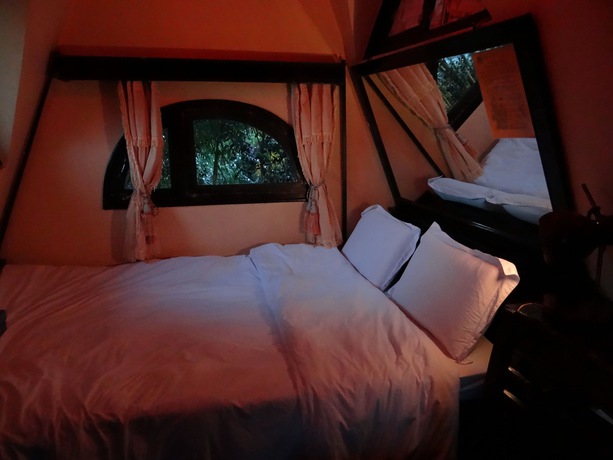 Imagen de la habitación del Hotel Crazy House. Foto 10