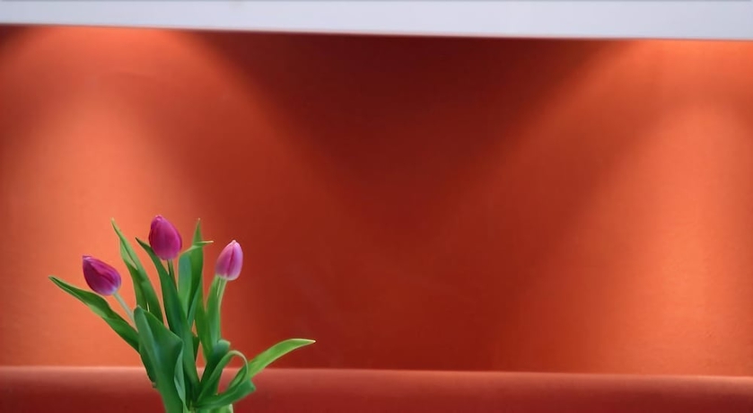 Imagen de los interiores del Hotel Creatif Elephant. Foto 17